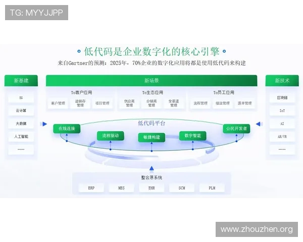 欧博管理：企业数字化转型中的管理模式与应用探索